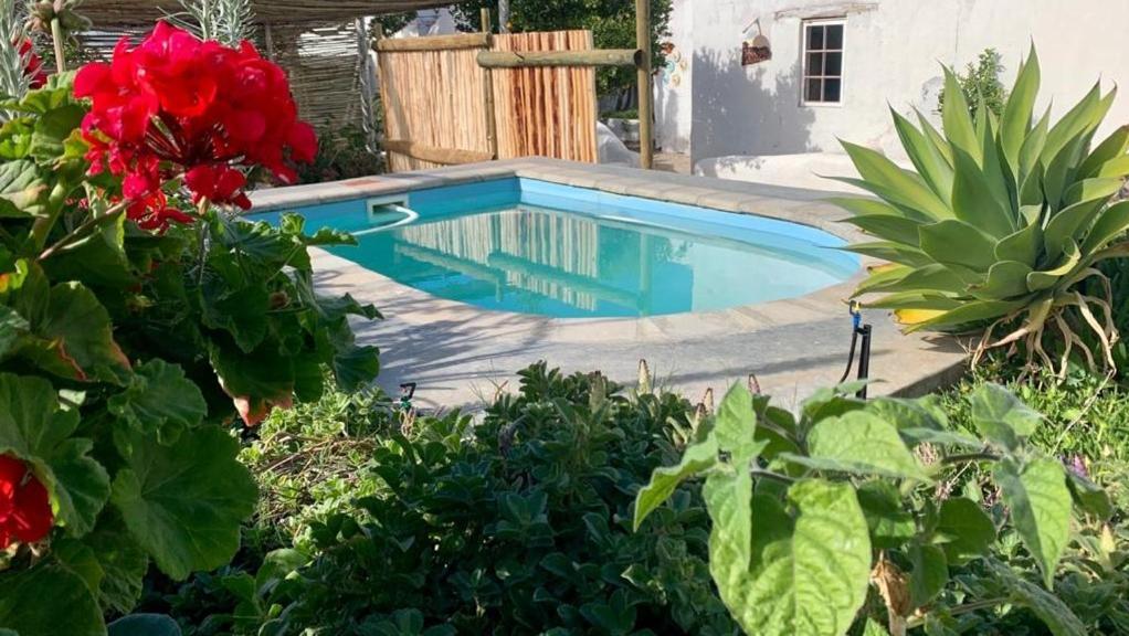פרינס אלברט Ta Mala'S Cottage מראה חיצוני תמונה