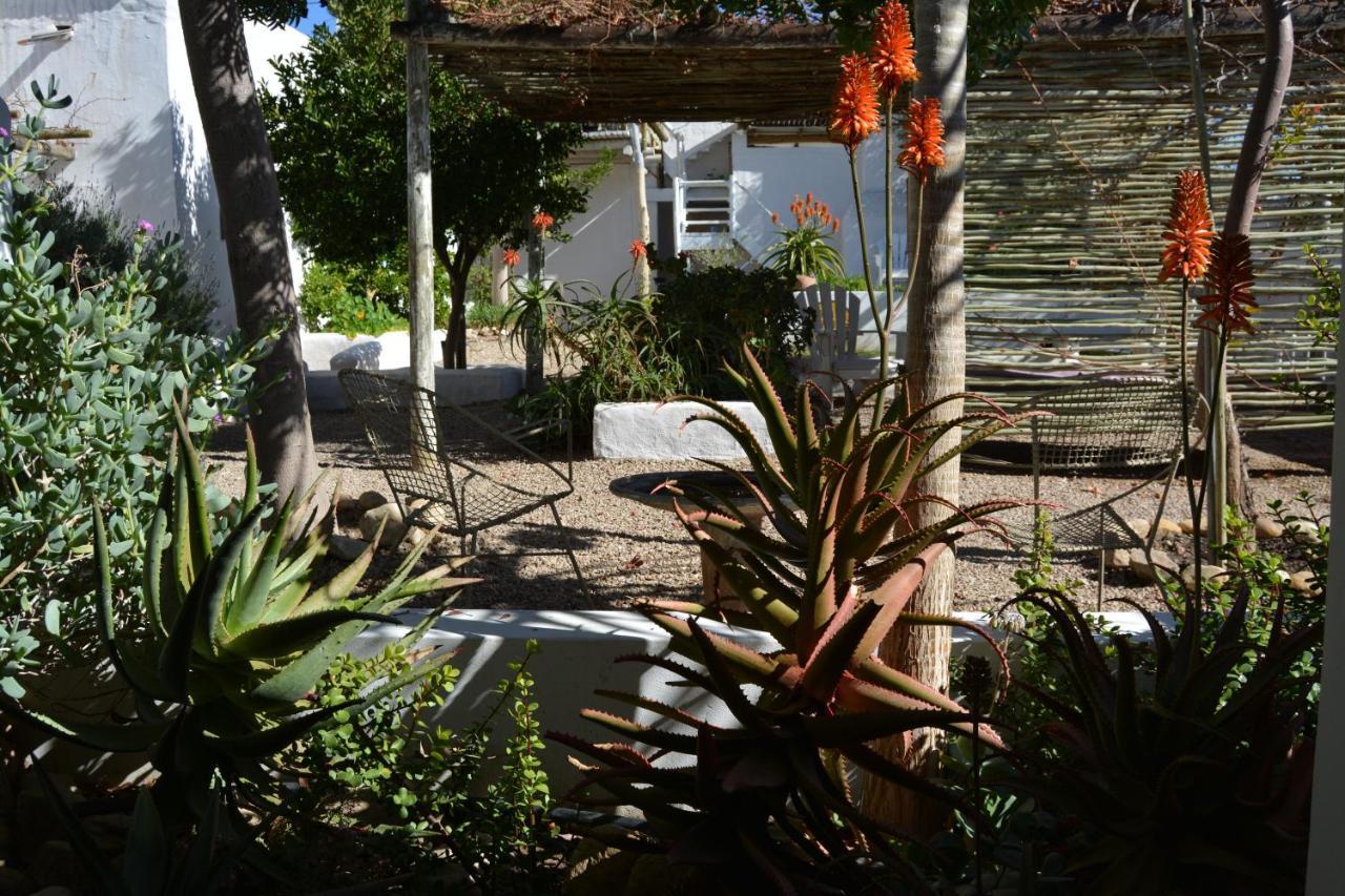 פרינס אלברט Ta Mala'S Cottage מראה חיצוני תמונה