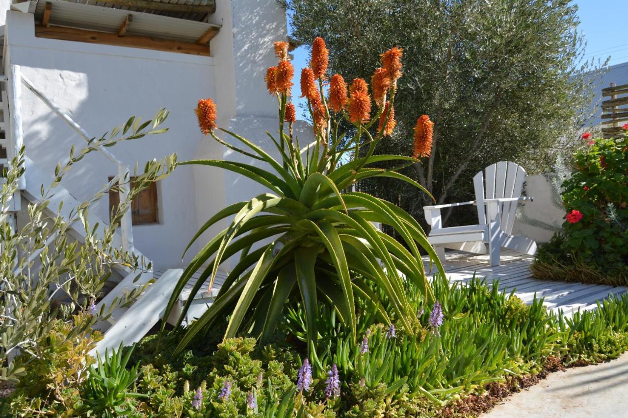 פרינס אלברט Ta Mala'S Cottage מראה חיצוני תמונה