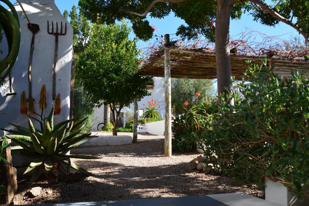 פרינס אלברט Ta Mala'S Cottage מראה חיצוני תמונה